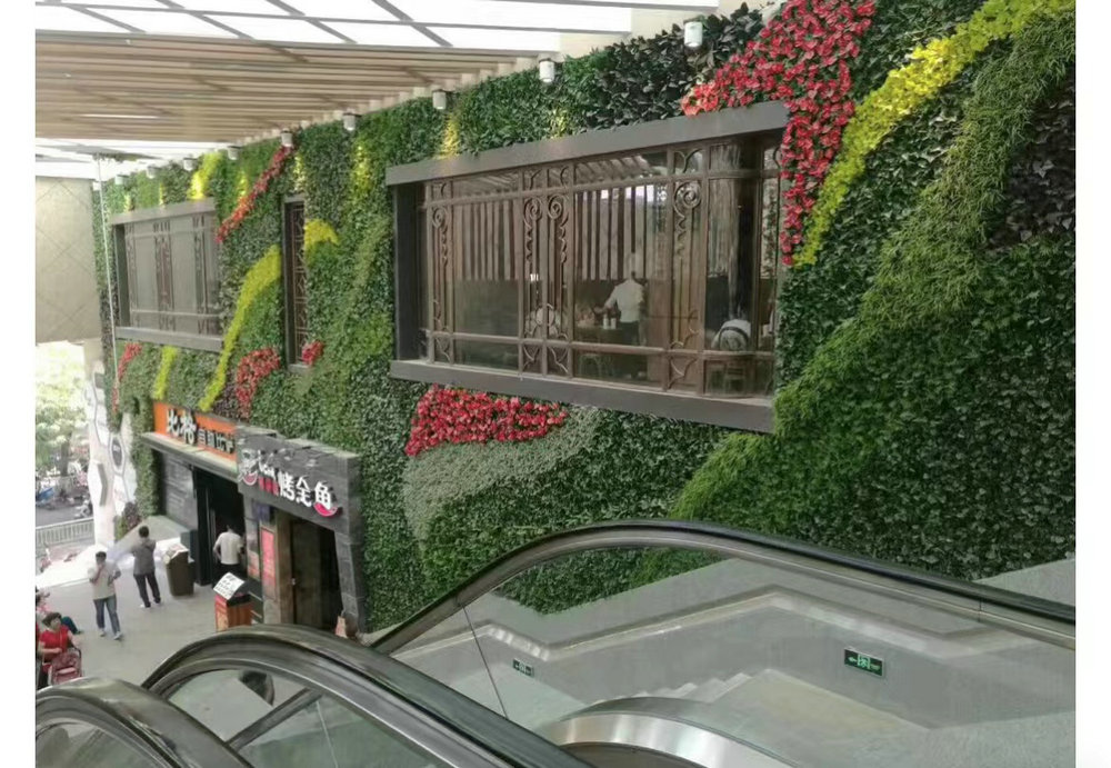 室内植物墙