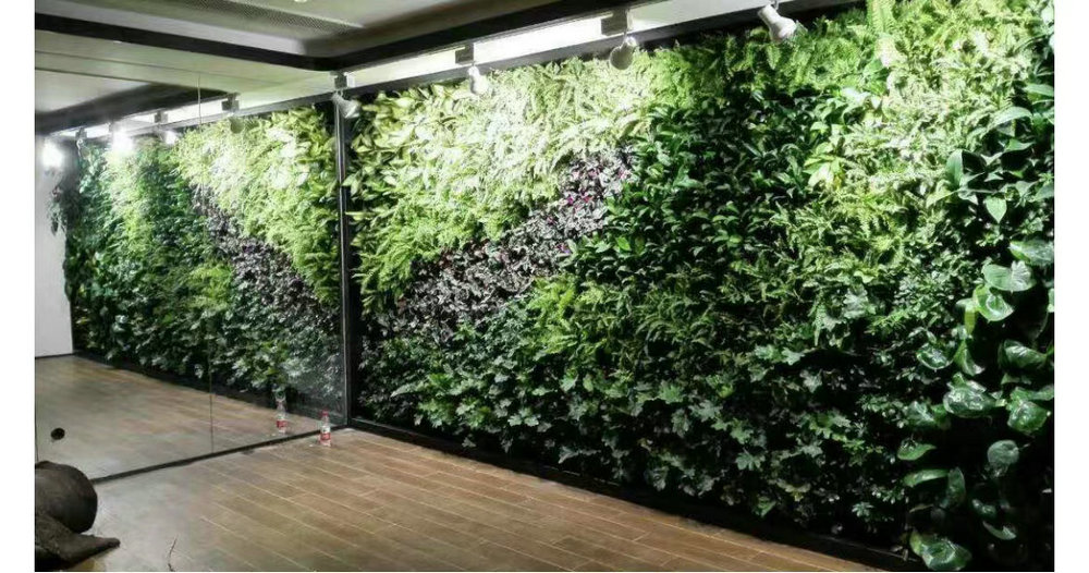 室内植物墙