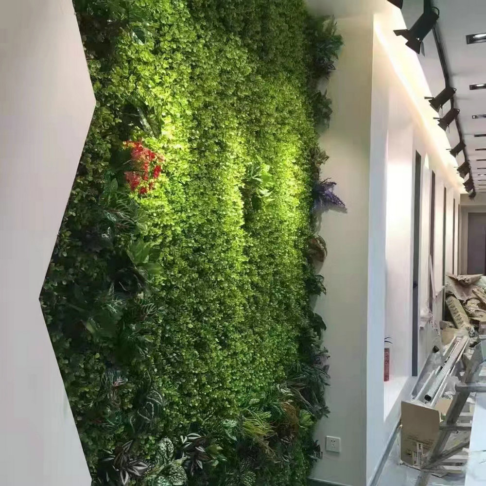 室内植物墙