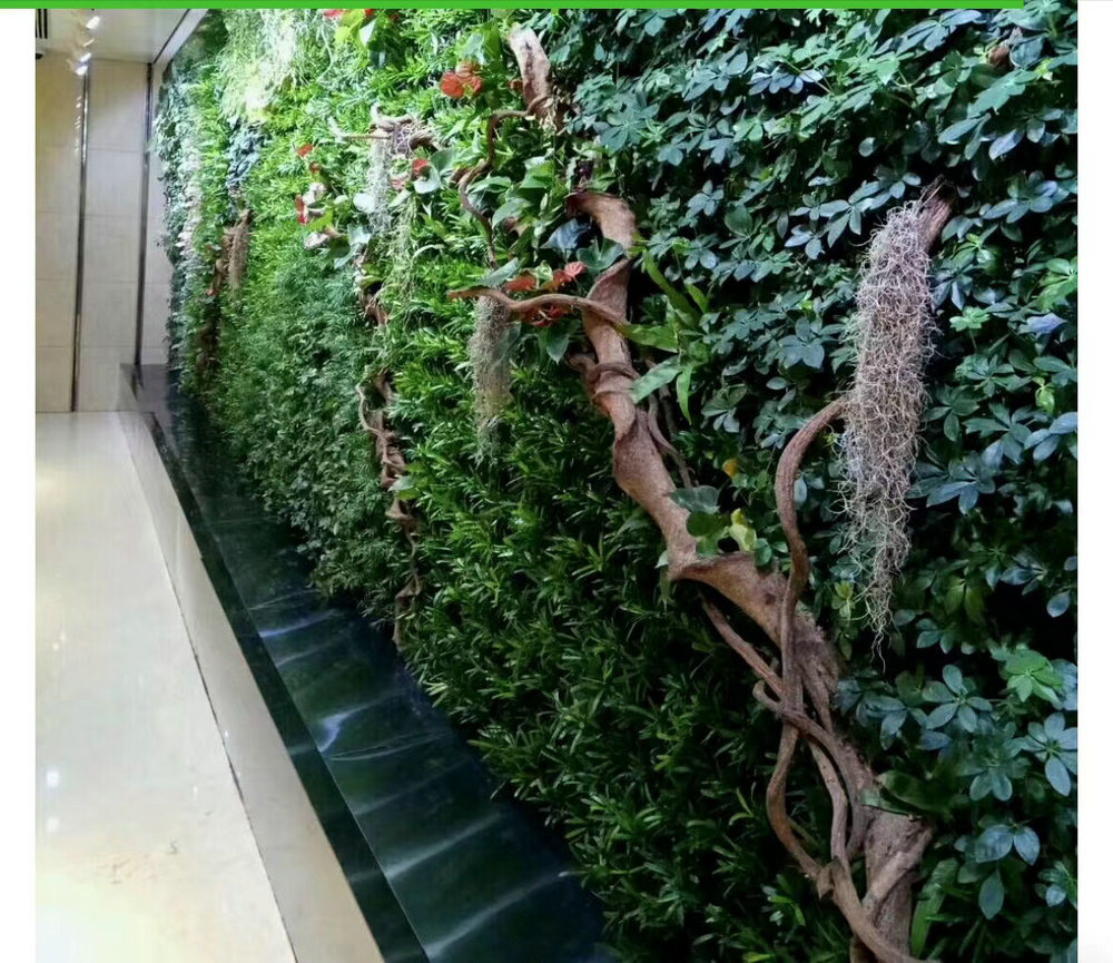 室内植物墙