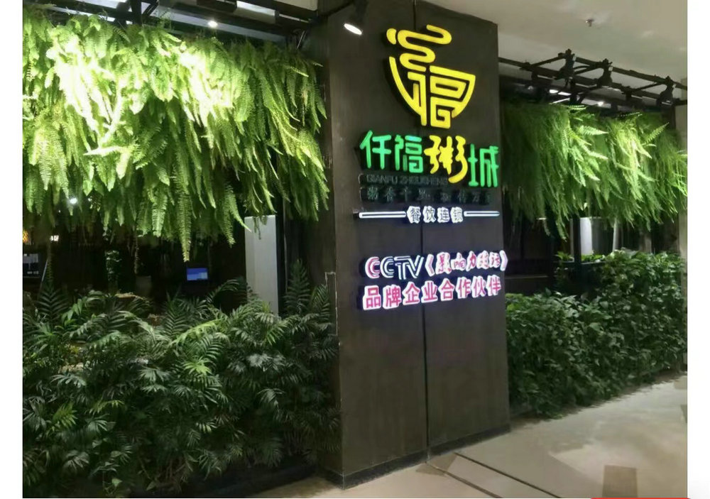 室内植物墙