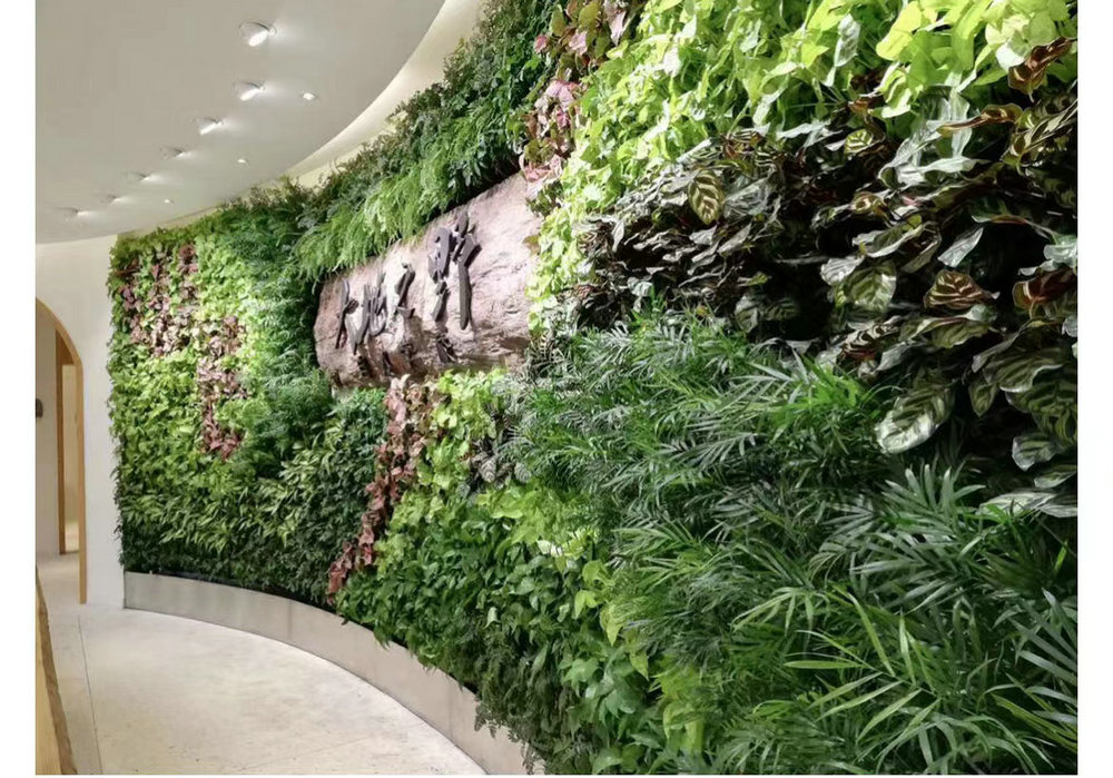 室内植物墙