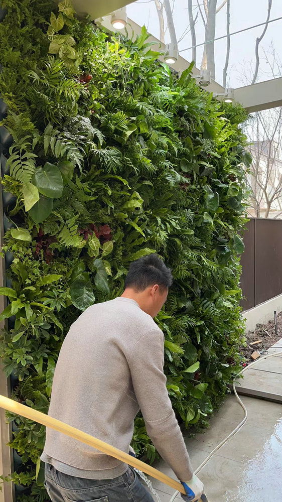 室外植物墙
