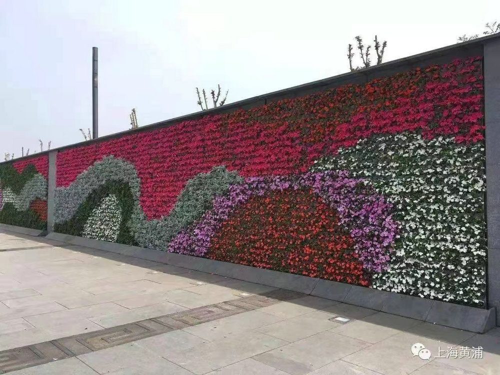 室外植物墙