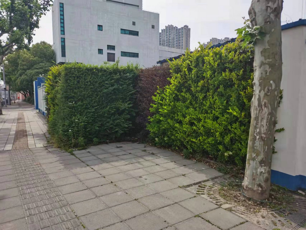 室外植物墙