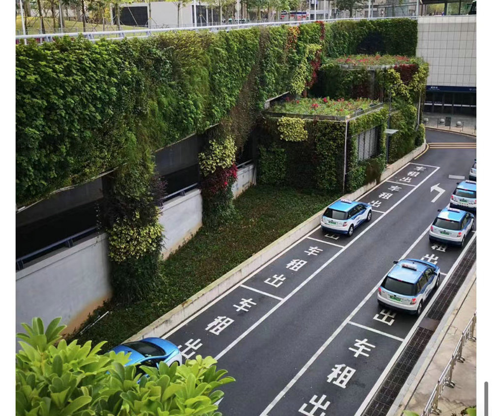 室外植物墙