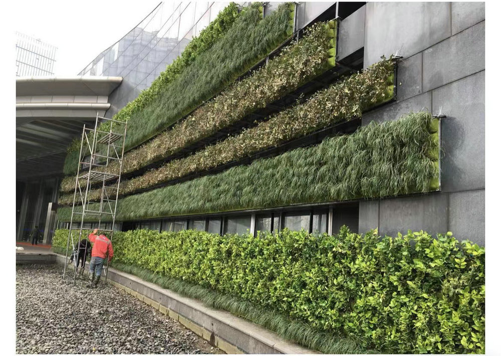 室外植物墙