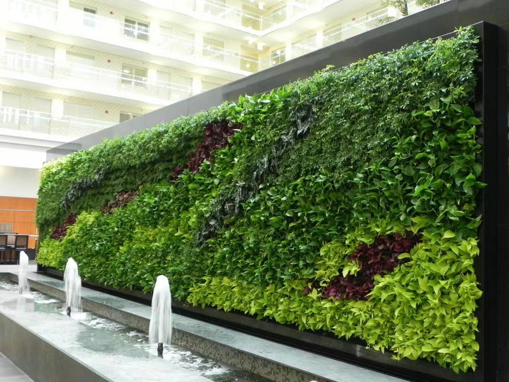 室外植物墙