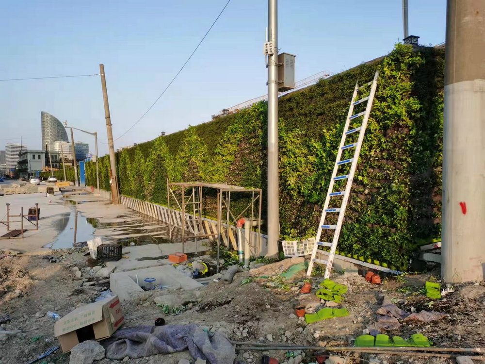 室外植物墙