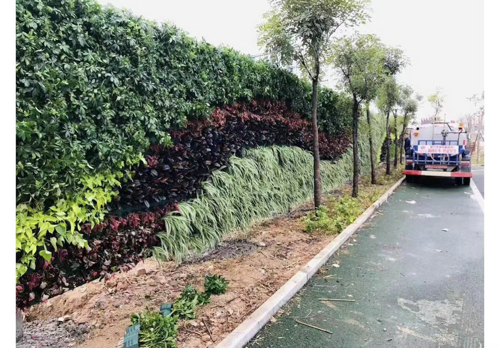 室外植物墙