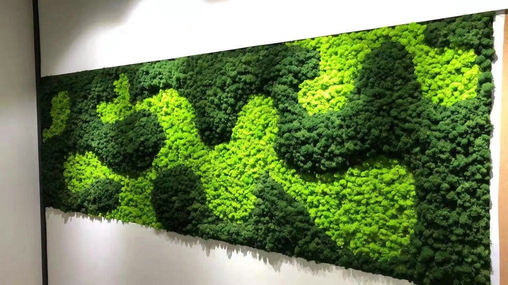永生苔藓墙
