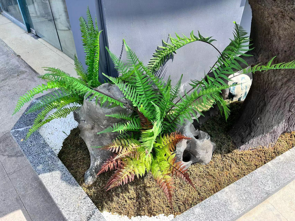 植物景观造景