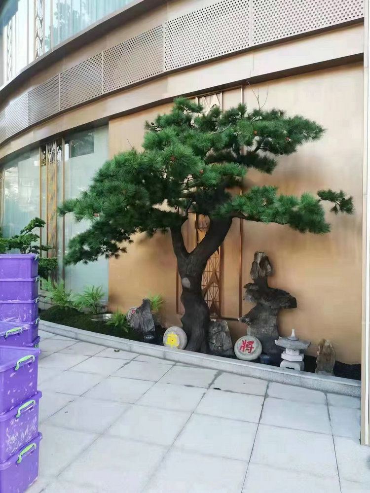 植物景观造景