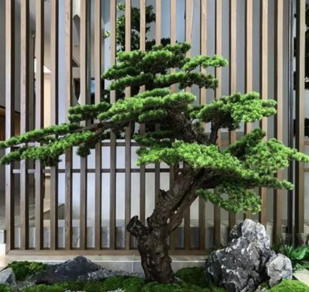 植物景观造景