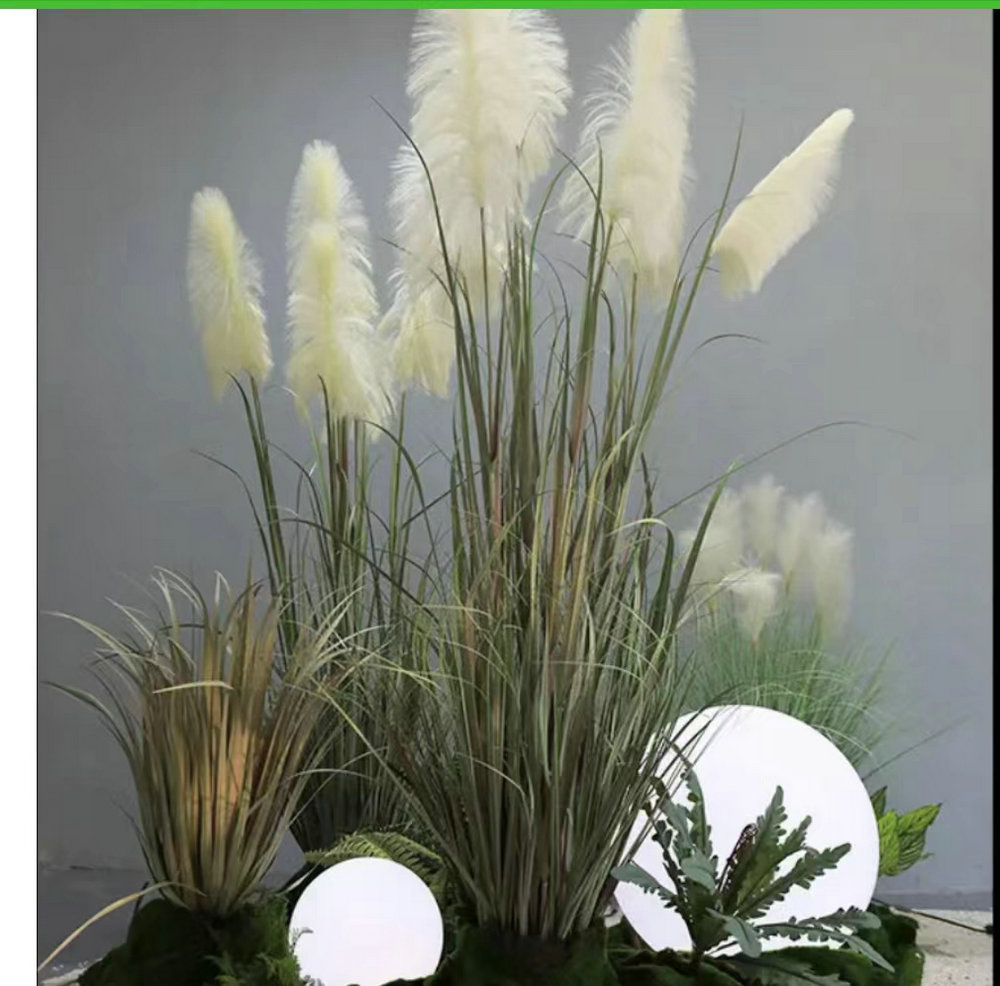 植物景观造景