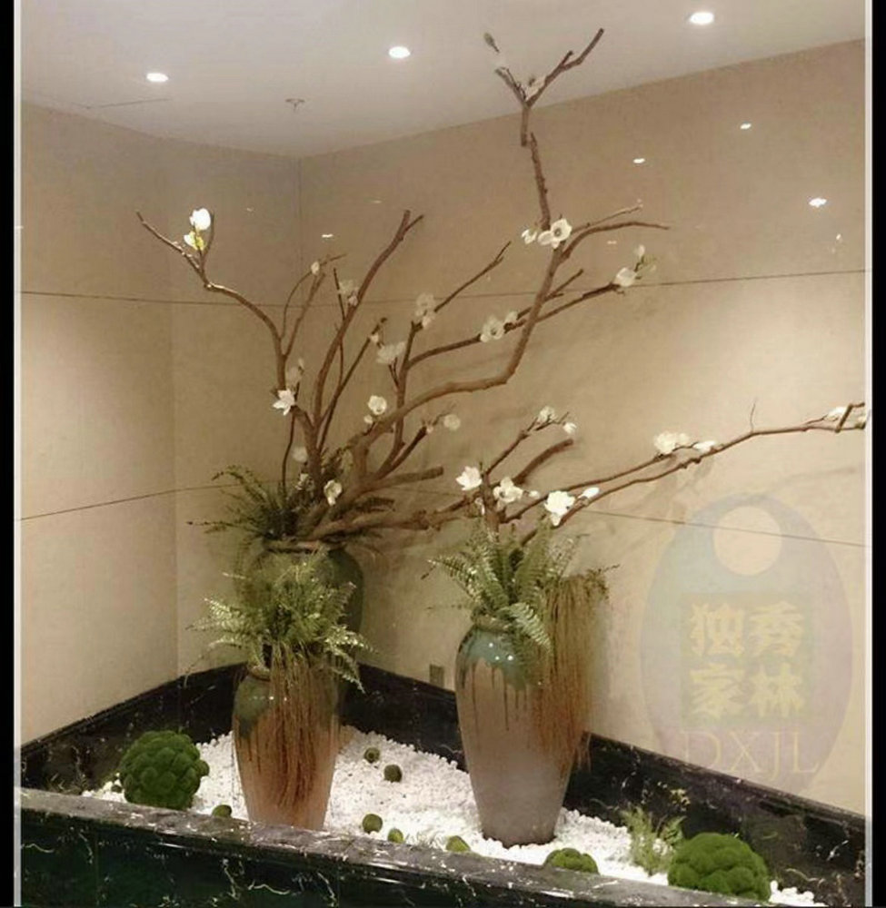 植物景观造景