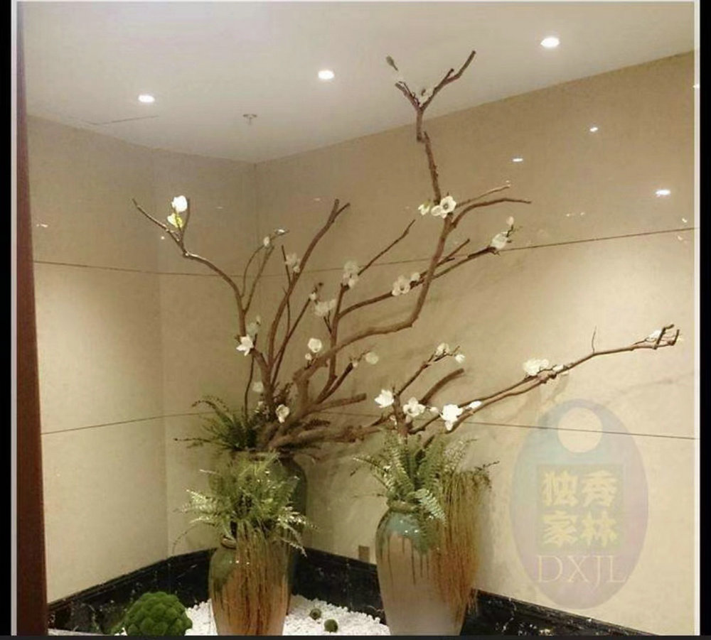 植物景观造景