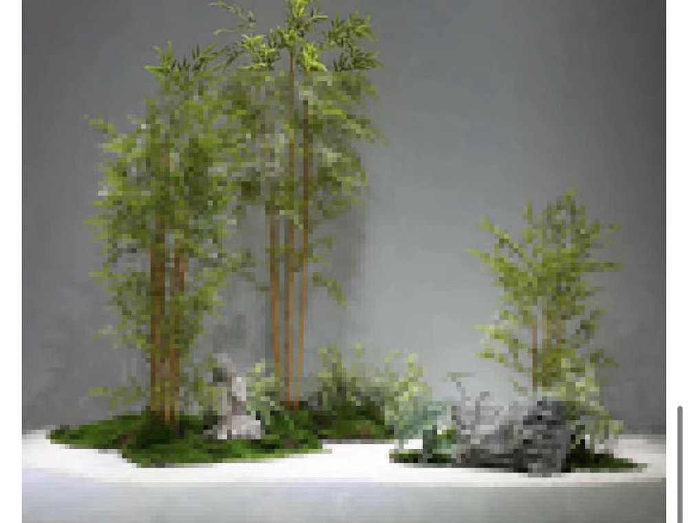 植物景观造景