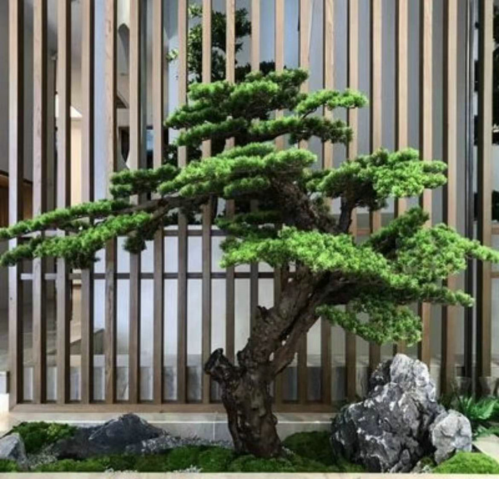 植物景观造景