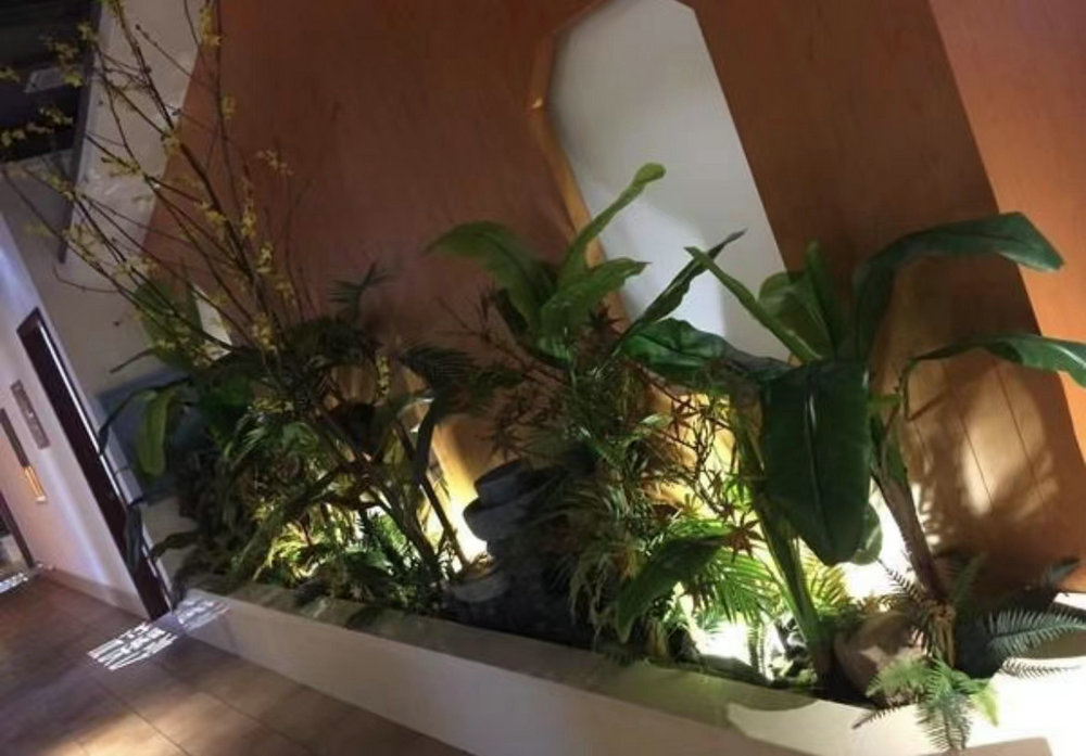 植物景观造景