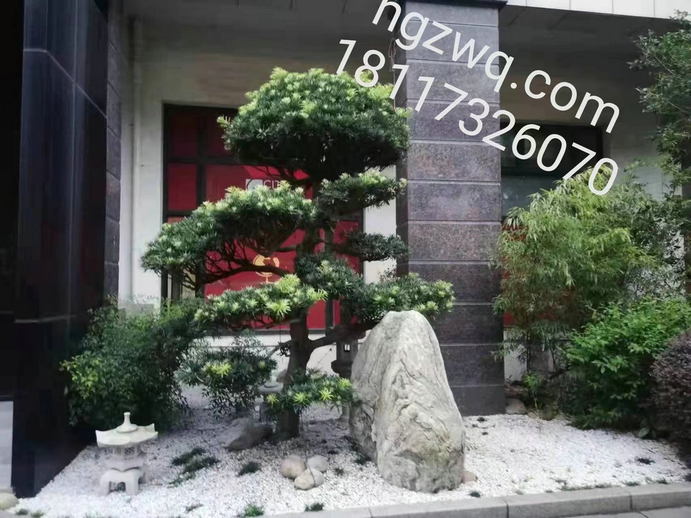 植物景观造景