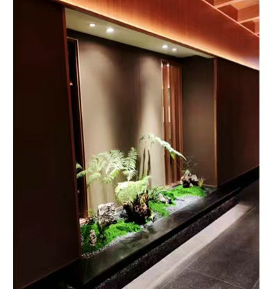 植物景观造景