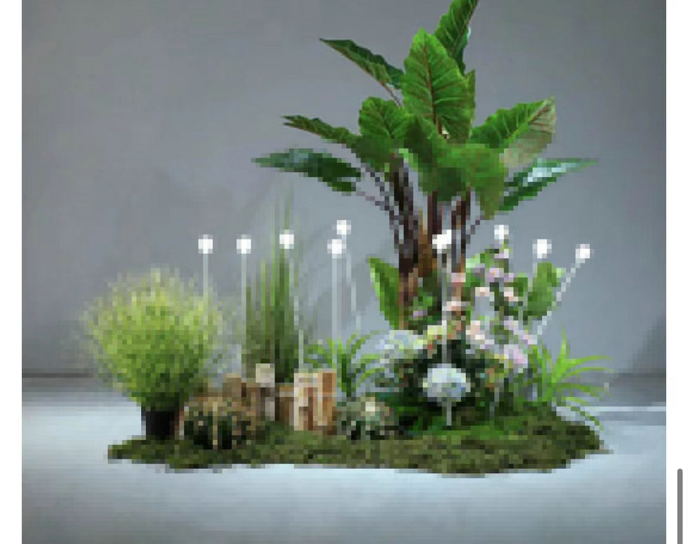 植物景观造景