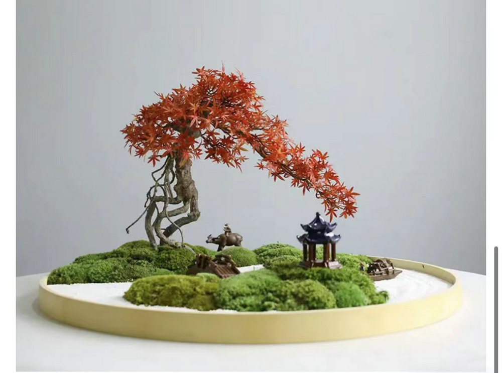 植物景观造景